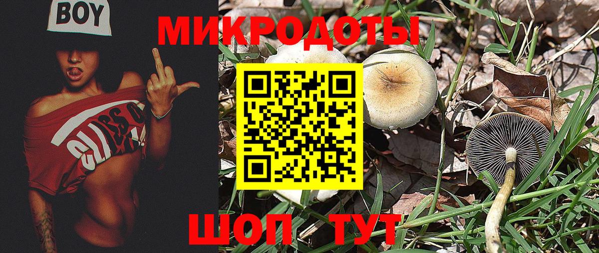цена   Вход с VPN  Челябинск  Галлюциногенные грибы мицелий  Галлюциногенные грибы прущие грибы 